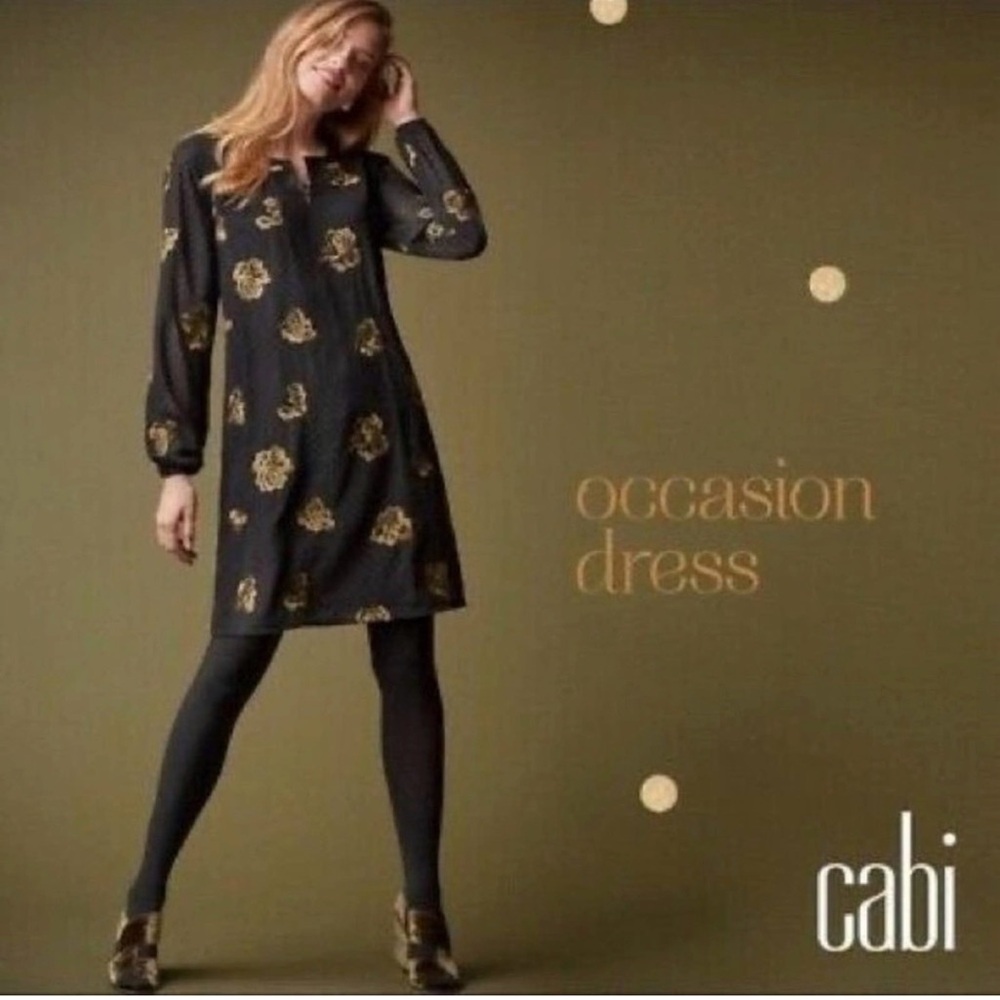 CAbi Floral Dress Large Embroidered Swiss Dot Special Occassion Black Gold